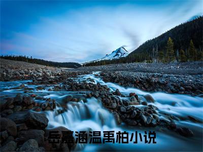 抖音新书热荐小说（岳嘉涵温禹柏）主角是（岳嘉涵温禹柏）小说免费阅读小说无弹窗阅读_笔趣阁