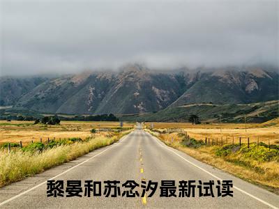 黎晏和苏念汐（黎晏和苏念汐免费小说）全文免费阅读无弹窗大结局_黎晏和苏念汐免费小说最新章节列表_笔趣阁