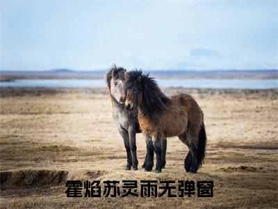 霍焰苏灵雨全文免费阅读在线阅读 霍焰苏灵雨全文免费阅读最新章节列表_笔趣阁