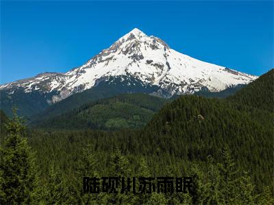 陆砚川苏雨眠免费小说-陆砚川苏雨眠完结版在线阅读