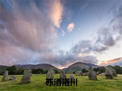 苏酒洛川全文免费阅读-（苏酒洛川）小说全文免费阅读正版无弹窗