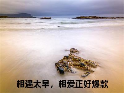 辛白程浩泽（相遇太早，相爱正好）全文免费阅读无弹窗大结局_辛白程浩泽全文免费阅读无弹窗最新章节列表