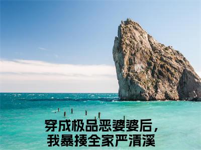 穿成极品恶婆婆后，我暴揍全家严清溪小说免费阅读-小说推荐穿成极品恶婆婆后，我暴揍全家严清溪精彩章节在线阅读