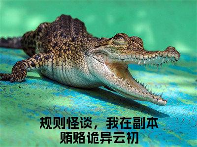 规则怪谈，我在副本贿赂诡异云初(规则怪谈，我在副本贿赂诡异云初)全文免费阅读无弹窗大结局_ 规则怪谈，我在副本贿赂诡异云初免费阅读最新章节列表_笔趣阁