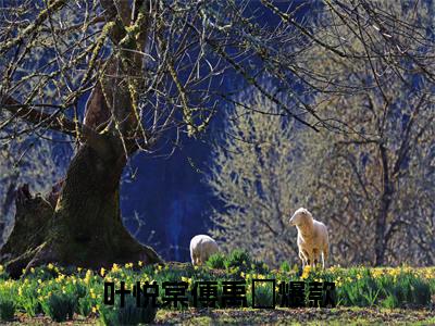 新上热文叶悦棠傅禹剶在线免费读-叶悦棠傅禹剶的小说（叶悦棠傅禹剶）完整版免费读全文
