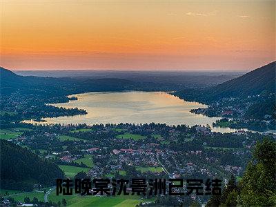 陆晚棠沈景洲小说（陆晚棠沈景洲）全文免费阅读结局-陆晚棠沈景洲强推全文阅读无弹窗