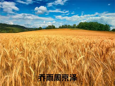 乔雨周京泽(乔雨周京泽)最新章节在线阅读-乔雨周京泽已完结全集大结局小说