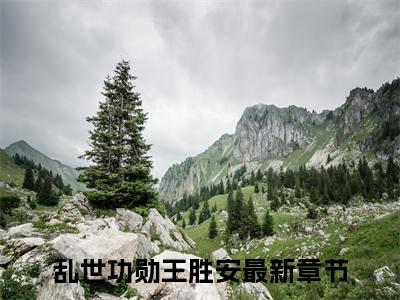 乱世功勋王胜安小说完整版阅读 乱世功勋王胜安全文在线赏析
