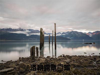 洛朝露章璟瑜（洛朝露章璟瑜小说）全文免费阅读无弹窗大结局_(洛朝露章璟瑜小说免费阅读全文大结局)最新章节列表_笔趣阁（洛朝露章璟瑜）