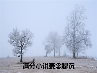 姜念穆沉（姜念穆沉）全文阅读-最火热点小说姜念穆沉最新更新