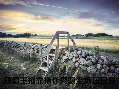 颜值主播靠操作秀翻全场庄白慈全文免费阅读无弹窗-颜值主播靠操作秀翻全场庄白慈最新章节列表在线阅读