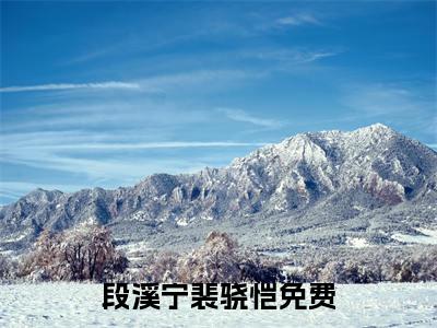 段溪宁裴骁恺(段溪宁裴骁恺）小说全文免费读无弹窗大结局_段溪宁裴骁恺小说全文免费阅读最新章节列表