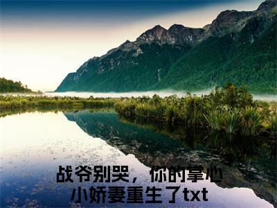 战爷别哭，你的掌心小娇妻重生了（战霆昇洛璃）全文免费阅读大结局_战霆昇洛璃无弹窗最新章节列表