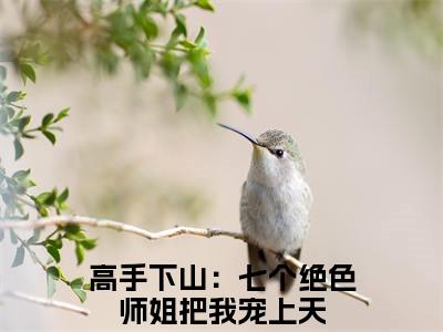 高手下山：七个绝色师姐把我宠上天全文免费阅读（陆枫免费阅读无弹窗）高手下山：七个绝色师姐把我宠上天最新章节列表