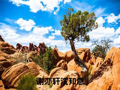 谢亦轩沈知意（谢亦轩沈知意小说）全文免费阅读无弹窗大结局_谢亦轩沈知意全文免费阅读（谢亦轩沈知意小说）最新章节列表_笔趣阁（谢亦轩沈知意）