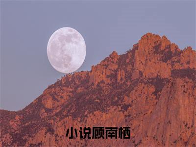 上卿有疾小说（顾南栖）全文免费阅读大结局无删减_（顾南栖）上卿有疾小说最新章节列表_笔趣阁