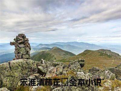 宋淮清林芷晞txt（宋淮清林芷晞）全文免费阅读无弹窗大结局_宋淮清林芷晞最新章节列表_笔趣阁（宋淮清林芷晞）