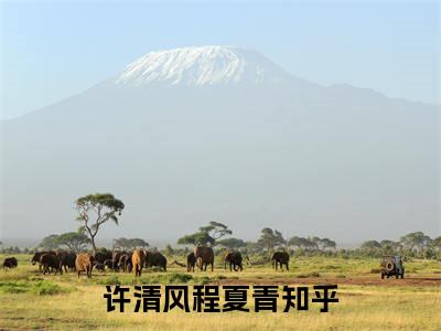 许清风程夏青(许清风程夏青)在线阅读无弹窗大结局-许清风程夏青小说最新章节阅读_笔趣阁（许清风程夏青）