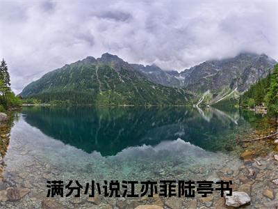 江亦菲陆亭书小说大结局完整版阅读，江亦菲陆亭书小说全文在线阅读