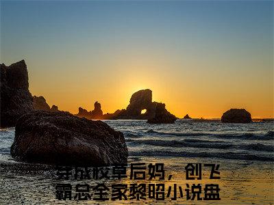 穿成校草后妈，创飞霸总全家黎昭小说（穿成校草后妈，创飞霸总全家黎昭）全文免费阅读无弹窗大结局_穿成校草后妈，创飞霸总全家黎昭最新章节列表_笔趣阁