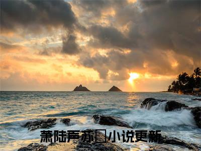 萧陆声苏妘小说(萧陆声苏妘)_全章节小说完整版阅读（萧陆声苏妘）