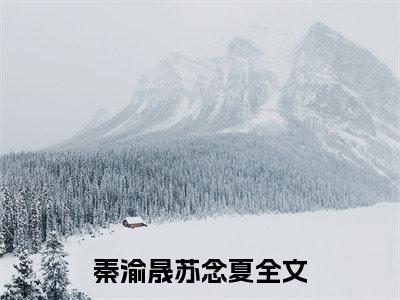 秦渝晟苏念夏小说免费下载阅读_(秦渝晟苏念夏)秦渝晟苏念夏最新章节列表_笔趣阁（秦渝晟苏念夏）