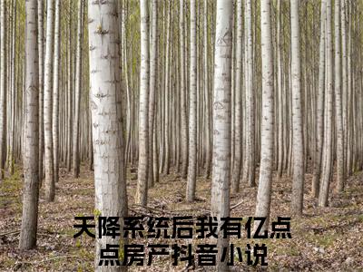 程槿黎最新章节-（天降系统后我有亿点点房产）程槿黎全文在线阅读无弹窗