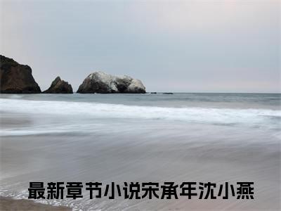 宋承年沈小燕（宋承年沈小燕全集无弹窗阅读）宋承年沈小燕已完结小说全集完整版大结局笔趣阁（宋承年沈小燕）最新章节列表_笔趣阁