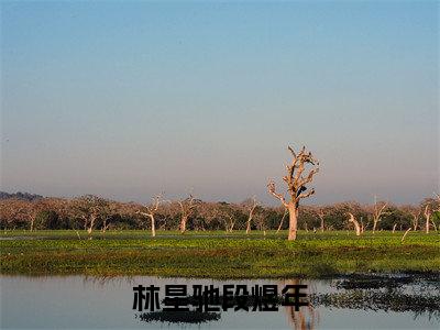 林星驰段煜年抖音最新热点小说，林星驰段煜年小说最新章节阅读