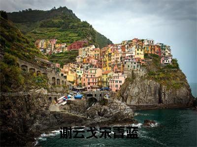 快手热推谢云戈宋青蓝（谢云戈宋青蓝）最新小说大结局-小说全文免费在线赏析