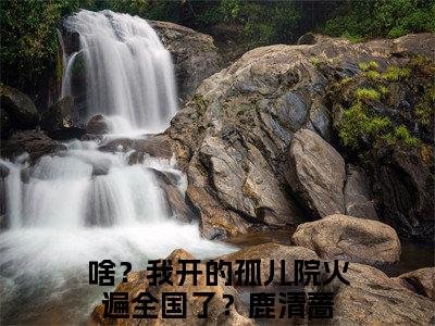 （啥？我开的孤儿院火遍全国了？鹿清蔷）是什么小说-（啥？我开的孤儿院火遍全国了？鹿清蔷）无弹窗免费阅读大结局最新章节列表_笔趣阁