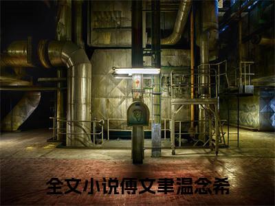 傅文聿温念希全文免费阅读_傅文聿温念希无弹窗最新章节