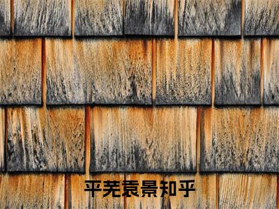 平芜袁景小说全文免费阅读最新章节_平芜袁景（平芜袁景）免费观看完结版_笔趣阁
