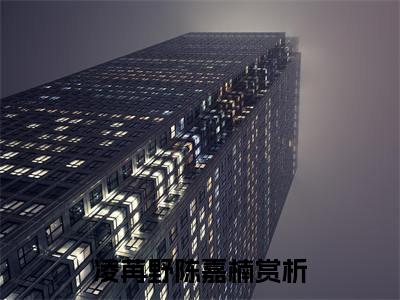 凌苒野陈嘉楠小说免费阅读无弹窗，小说名字是：凌苒野陈嘉楠的小说在线阅读无删减