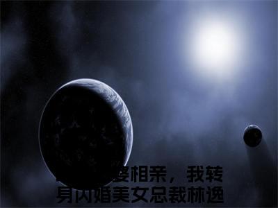 砸场王婆相亲，我转身闪婚美女总裁林逸全文免费阅读无弹窗-（砸场王婆相亲，我转身闪婚美女总裁林逸在线阅读）砸场王婆相亲，我转身闪婚美女总裁林逸最新章节列表笔趣阁