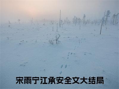 宋雨宁江承安在线阅读（宋雨宁江承安小说）全文免费阅读无弹窗大结局_宋雨宁江承安免费最新章节列表_笔趣阁（宋雨宁江承安小说）