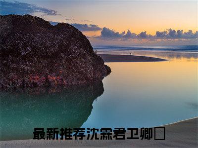 沈霖君卫卿婳小说免费阅读沈霖君卫卿婳小说全文免费阅读_（沈霖君卫卿婳）沈霖君卫卿婳最新章节列表笔趣阁