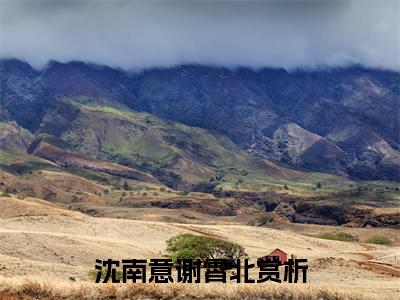 沈南意谢霄北（沈南意谢霄北）小说-沈南意谢霄北小说免费最新章节列表