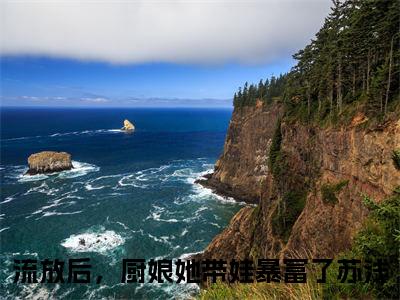 流放后，厨娘她带娃暴富了苏浅全文免费阅读（流放后，厨娘她带娃暴富了苏浅）全文无删减版在线阅读_流放后，厨娘她带娃暴富了苏浅全文免费阅读最新章节列表_笔趣阁