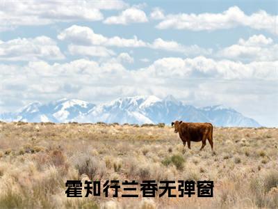 全网热搜（霍知行兰香）是什么小说_霍知行兰香小说（霍知行兰香）热门章节阅读无弹窗_笔趣阁