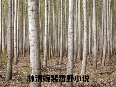 林清婉裴霄野全文免费阅读无弹窗大结局_(林清婉裴霄野免费阅读)林清婉裴霄野无弹窗最新章节列表_笔趣阁