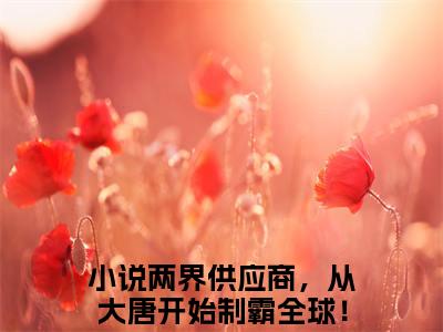 两界供应商，从大唐开始制霸全球！庄舟无弹窗（两界供应商，从大唐开始制霸全球！庄舟）全文免费阅读无弹窗大结局_(两界供应商，从大唐开始制霸全球！庄舟)两界供应商，从大唐开始制霸全球！庄舟最新章节列表_笔趣阁（两界供应商，从大唐开始制霸全球！庄舟）