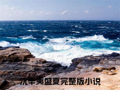 沈辛夷盛夏（沈辛夷盛夏）无广告免费阅读-沈辛夷盛夏小说最后结局如何