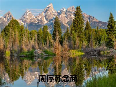 (热推新书)周序苏念商完整版免费小说无弹窗阅读_周序苏念商最新章节列表_笔趣阁（周序苏念商）
