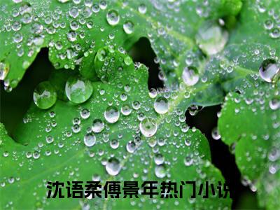 （沈语柔傅景年）全文免费阅读无弹窗大结局_（沈语柔傅景年）章节列表_笔趣阁