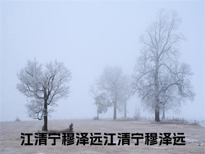 江清宁穆泽远全文免费阅读无弹窗（江清宁穆泽远）小说-江清宁穆泽远小说免费阅读