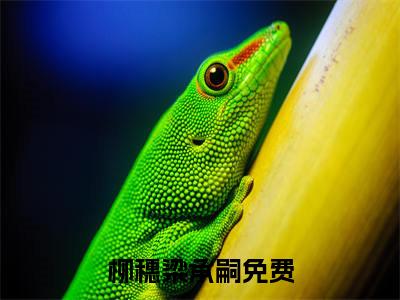 柳穗梁承嗣小说最新章节-柳穗梁承嗣在线免费阅读