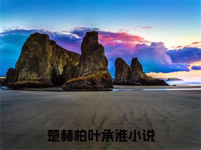 楚赫柏叶承淮（楚赫柏叶承淮）全文免费阅读楚赫柏叶承淮最新章节小说免费阅读_笔趣阁