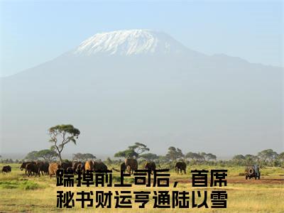 踹掉前上司后，首席秘书财运亨通陆以雪完整版全文在线赏析-踹掉前上司后，首席秘书财运亨通陆以雪全文在线阅读