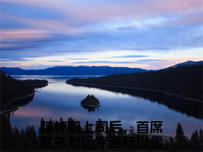 踹掉前上司后，首席秘书财运亨通陆以雪（踹掉前上司后，首席秘书财运亨通陆以雪）全文免费阅读_踹掉前上司后，首席秘书财运亨通陆以雪最新章节列表言情小说在线阅读